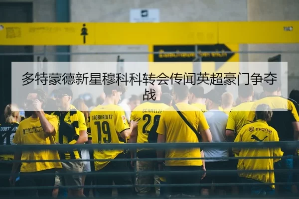 duo-te-meng-de-xin-xing-mu-ke-ke-zhuan-hui-chuan-wen-ying-chao-hao-men-zheng-duo-zhan-2-184.jpg